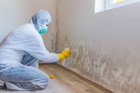 Mold Prevention & Removal