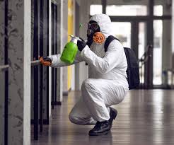 Best Commercial Mold Inspection  in Port Reading, NJ