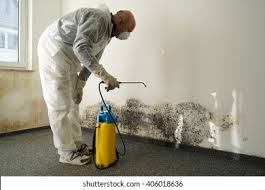 Mold Removal for HVAC Installations in Port Reading, NJ